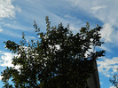 DSCN0820