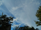 DSCN0822