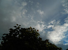 DSCN0823