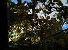 DSCN0832