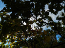DSCN0833