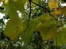 DSCN0836