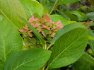 DSCN0838