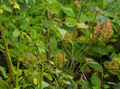 DSCN0840