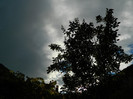DSCN0850