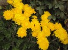 DSC01313