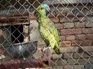 Picture 001