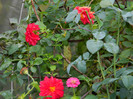 DSCN0891