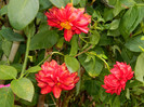 DSCN0894