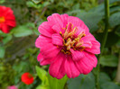 DSCN0901