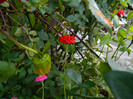 DSCN0902
