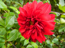 DSCN0905