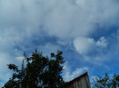 DSCN0925