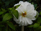DSCN0929