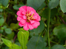 DSCN0931