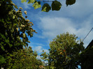 DSCN0933