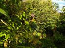 DSCN0938