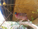 SANY0268
