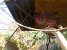 SANY0270