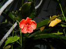 DSCN0955