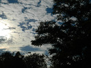 DSCN0984