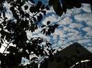 DSCN0986