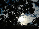 DSCN0987