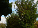 DSCN0991
