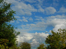DSCN0992
