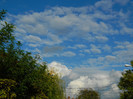 DSCN0993