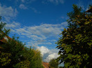DSCN0994