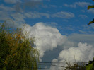DSCN0996