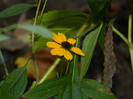 DSCN1005