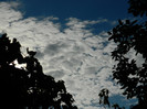 DSCN1012