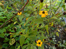 DSCN1028