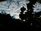 DSCN1035