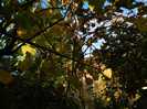 DSCN1036