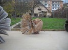noiembrie 5 2012 002