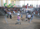 wels-10 nov-licitatie berbeci de carne