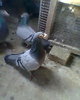 Photo0015