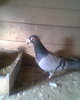 Photo0037