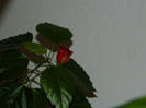 DSCN1057