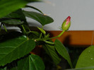DSCN1058