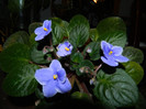 DSCN1068