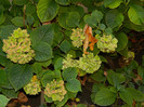 DSCN1095
