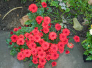 DSCN1097