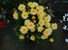 DSCN1098