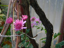 DSCN1109