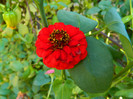 DSCN1147