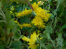 DSCN1156